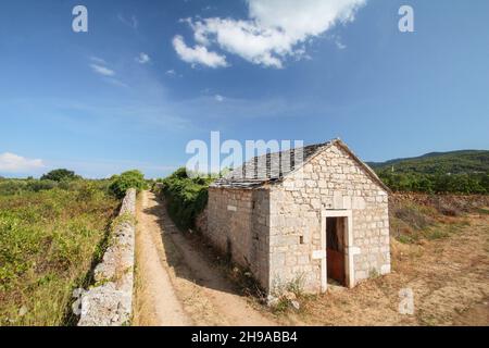 Berühmte historische landwirtschaftliche griechische Ebene in Stari Grad auf der Insel Hvar, Kroatien Stockfoto