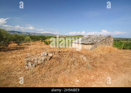 Berühmte historische landwirtschaftliche griechische Ebene in Stari Grad auf der Insel Hvar, Kroatien Stockfoto