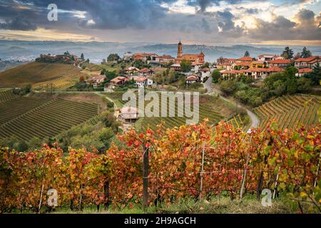 Bunte Herbstlandschaft in Weingärten in Piemont, Italien Stockfoto