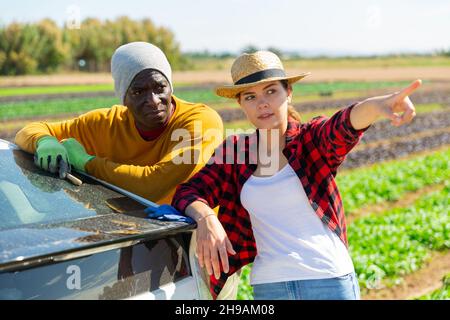 Landarbeiter reden in der Nähe von Auto auf dem Feld Stockfoto