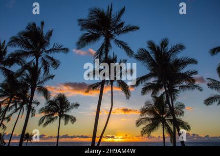 Sonnenuntergang, Koolina, Oahu, Hawaii Stockfoto