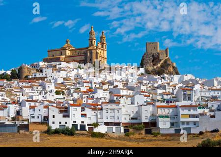 Pfarrei unserer Lieben Frau von der Menschwerdung und Schloss Olvera mit weißen Häusern, Olvera, Provinz Caáiz, Autonome Gemeinschaft Andalusien, Spanien Stockfoto