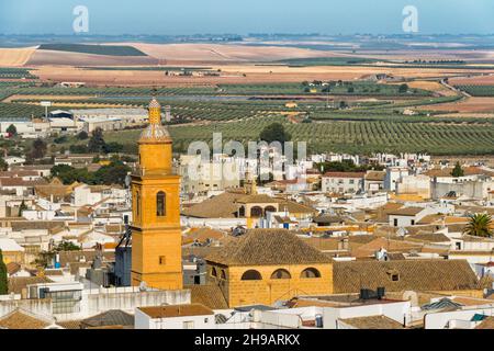 Stadtbild von Osuna, Iglesia de San Carlos El Real und weiße Häuser mit Olivenhain, Provinz Sevilla, Autonome Gemeinschaft Andalusien, Spanien Stockfoto