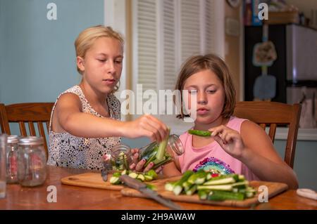 Zwei junge Mädchen machen aus frischen, kleinen Gurken hausgemachte Gurken Stockfoto