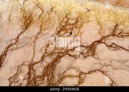 Muster in der Natur sind überall zu finden, aber so einzigartig im Yellowstone Nationalpark. Hier sind Metalle im Boden kombiniert mit geologischen Aktivitäten Stockfoto