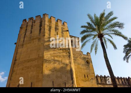 Alcazar de los Reyes Cristianos (Burg der christlichen Könige), auch bekannt als Alcazar von Cordoba, Provinz Cordoba, Spanien Stockfoto