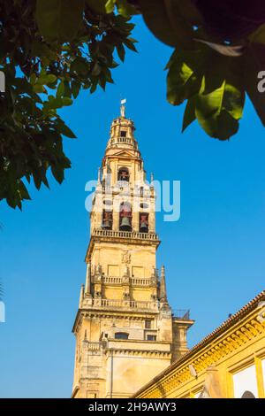 Torre del Alminar Glockenturm der Mezquita-Kathedrale (Moschee-Kathedrale oder große Moschee von Cordoba), Cordoba, Provinz Cordoba, Spanien Stockfoto