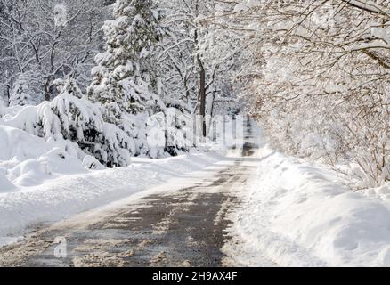 Schöne und kalte winterliche Fahrt in Michigan USA Stockfoto