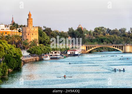 Torre del Oro (Turm des Goldes), ein militärischer Wachturm, am Guadalquivir-Fluss, Sevilla, Provinz Sevilla, Autonome Gemeinschaft Andalusien, Spanien Stockfoto