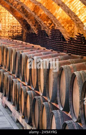 Alte Holzfässer mit Wein in den alten mittelalterlichen Kellern Stockfoto