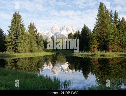 Schwabacher Landung mit einer Spiegelung des Tetongebirges und Kiefern im Biberteich im Vordergrund. Wolkiger Himmel oben. Fotografiert in Stockfoto