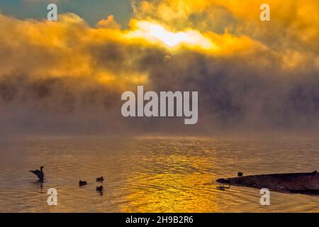 Spiegelung der Wolken im Lake Sammamish bei Sonnenaufgang, Redmond, Washington State, USA Stockfoto