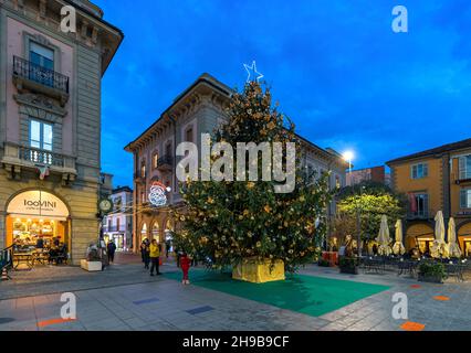 Großer Weihnachtsbaum auf dem Stadtplatz am Abend in Alba, Piemont, Norditalien. Stockfoto