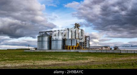 Silos und moderne Getreideaufzug- und Saatgutreinigungslinie auf der Agroverarbeitungs- und Produktionsanlage zur Lagerung und Verarbeitung der Trocknungsreinigung von Agrar Stockfoto