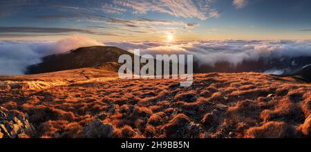 Wiesen und Hügel im Nationalpark Niedere Tatra über Wolken, slowakische Landschaft im Herbst Stockfoto