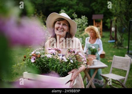 Ältere Frau Floristin trägt Kiste mit gepflanzten Blumen im Garten, Gemeinschaftsgarten Konzept. Stockfoto