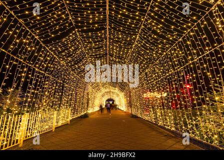 Aarhus, Dänemark; 5. Dezember 2021 - Weihnachtsdekorationen leuchten in einem Park, Jütland, Dänemark Stockfoto