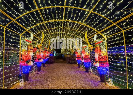 Aarhus, Dänemark; 5. Dezember 2021 - Weihnachtsdekorationen leuchten in einem Park, Jütland, Dänemark Stockfoto