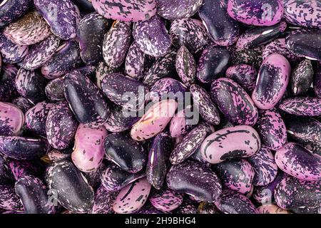 Hintergrund für Läufer oder scharlachrote Bohnen. Draufsicht. Stockfoto