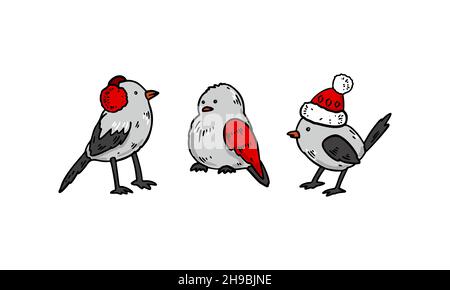 Set von handgezeichneten Vögeln im Winter Weihnachtsstil. Vektorgrafik Stock Vektor