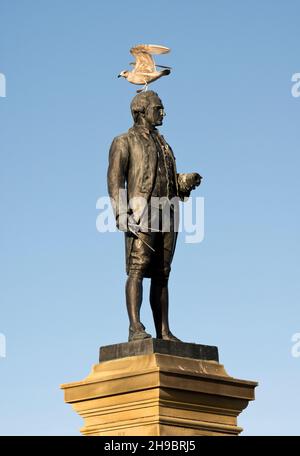 Seagull on Captain Cook, Monument, Whitby, North Yorkshire, Großbritannien Stockfoto