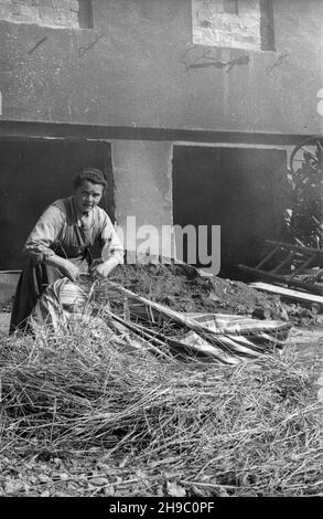 Warszawa, 1947-10. Zgromadzenie Sióstr Urszulanek SERCA Jezusa Konaj¹cego, zwanych te¿ urszulankami szarymi, na Powiœlu. NZ. Siostra wymienia s³omê w sienniku. wb/gr PAP Dok³adny dzieñ wydarzenia nieustalony. Warschau, 1947. Okt. Kongregation der Ursulinen vom Herzen Jesu im Sterben, auch Graue Ursulinen genannt, im Bezirk Powisle. Bild: Eine Nonne wechselt Stroh auf einer Palette. wb/gr PAP Stockfoto