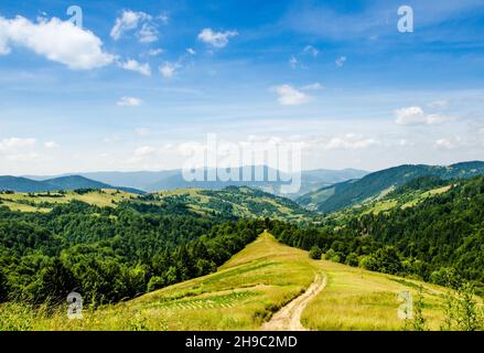 Berg-Sommerlandschaft. Bäume in der Nähe von Wiese und Wald am Hang unter dem Himmel mit Wolken Stockfoto