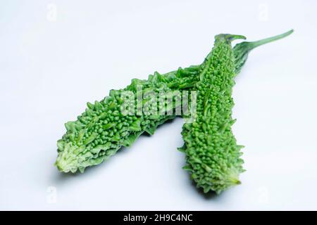 Bittermelone, Momordica charantia oder Bitterkürbis auf weißem Hintergrund, Satara, Maharashtra, Indien Stockfoto