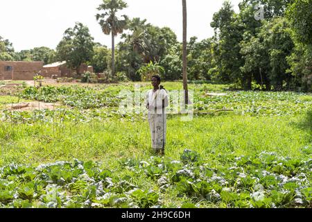 Schwarzer afrikanischer Bauer, der auf seinem Feld steht, mit einer Hacke auf seiner Schulter und lächelt die Kamera an Stockfoto