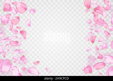 Natur horizontaler Hintergrund.Rosa fallende Sakura Blütenblätter und Blumen. Stock Vektor