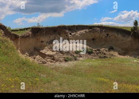 Nistplatz von Sand martin, Riparia riparia in Deliblato Sand in Serbien Stockfoto