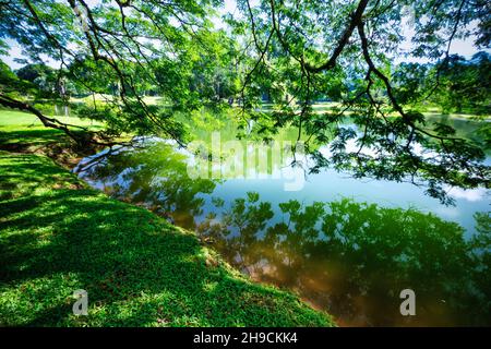 Der Malerische Taiping Lake Stockfoto