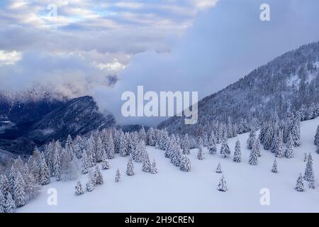 Fantastic evening landscape with dramatic winter scene with snowy trees, Krvavec, Slovenia, Europe Stockfoto