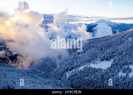 Abends Winterlandschaft in den Bergen, Pinienwald bei Sonnenuntergang. Schneebedeckte Hügel. Schneebedeckte Skipisten im Hinterland, Krvavec, Slowenien Stockfoto