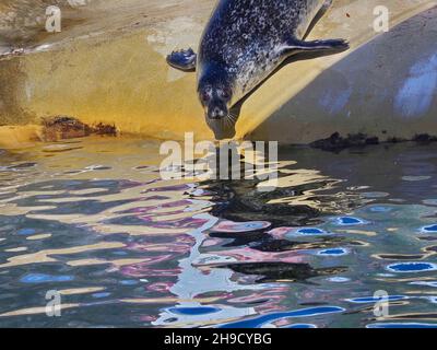 Die herrlichen Badeorte in Cornwall, Großbritannien Stockfoto