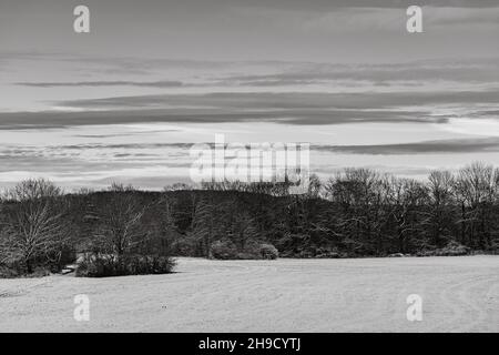 Blick auf ein schneebedecktes Feld mit einem Jägerpfosten auf der schwäbischen alb im Winter schwarz-weiß Stockfoto
