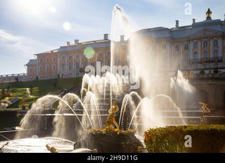 Peterhof, St. Petersburg, Russland - 06. Oktober 2021: Samson-Brunnen und große Kaskade funkeln in der Sonne Stockfoto