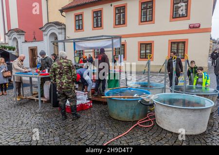 PRAG, TSCHECHIEN - 22. DEZEMBER 2019: Verkauf von traditionellen Weihnachtskarpfen aus einem Straßentanks in Prag, Tschechische Republik Stockfoto