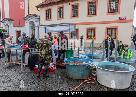 PRAG, TSCHECHIEN - 22. DEZEMBER 2019: Verkauf von traditionellen Weihnachtskarpfen aus einem Straßentanks in Prag, Tschechische Republik Stockfoto