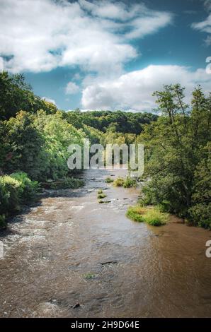 Blick auf den Fluss Teme vor der Leintwardine in Shropshire Stockfoto