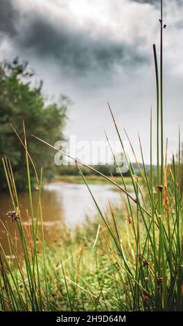 Blick auf den Fluss Teme vor der Leintwardine in Shropshire Stockfoto