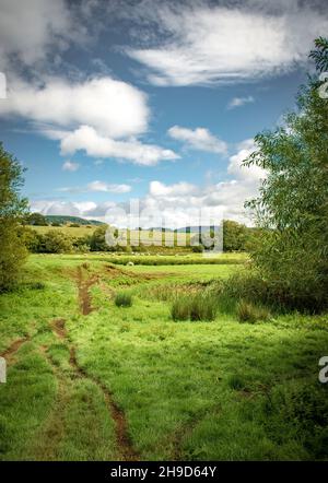 Blick auf den Fluss Teme vor der Leintwardine in Shropshire Stockfoto