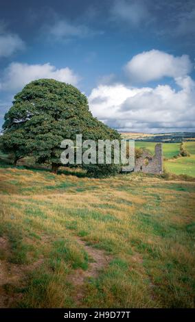 Sommerwanderungen auf Roundton Hill, Wales Stockfoto