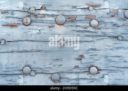 Nahaufnahme einer verfaulten Holzplatte mit Löchern und Nieten als Hintergrund Stockfoto