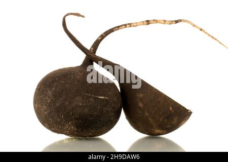 Eine halbe und eine ganze reife, saftige schwarze Rettich, Nahaufnahme, isoliert auf Weiß. Stockfoto