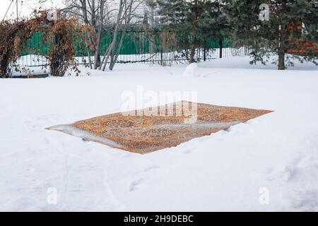 Nahaufnahme des Teppichs im Schnee. Reinigung von staubigen Teppich mit orientalischen Muster Textur im Freien im Hinterhof im Winter, russische Teppichreinigung Tradition Stockfoto
