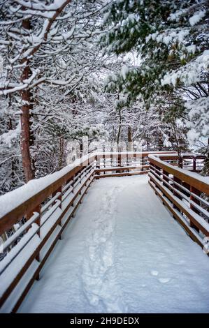 Verschneite Fußgängerbrücke im Winterwald. Stockfoto