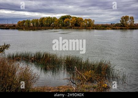 Sacramento River im Delta des Sacramento-San Joaquin River, Sacramento County, Kalifornien, USA Stockfoto