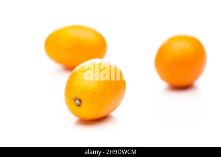 Kumquat, orange, fortunella, klein, Kumquats, Zwergorangen, winzig, multiple, weiß, Hintergrund, Isoliert, Schatten, optional, Zitrusfrüchte, Früchte, Essen, Stockfoto