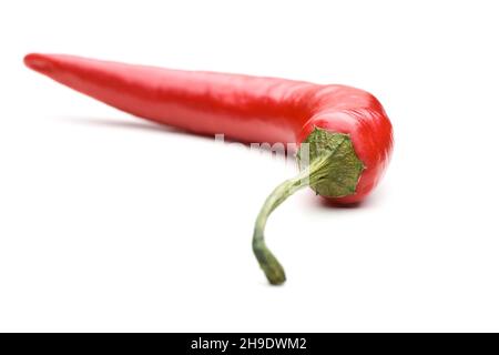 Chili, rot, Pfeffer, Chili, Schaukel, Paprika, Pepperoni, scharf, vorwärts, rückwärts, Schärfentiefe, leuchtend rot, Schatten, einfach, Linie, Kurve, weiß, eins, Stockfoto